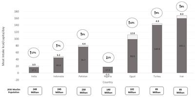 Halal cultivated meat: an untapped opportunity